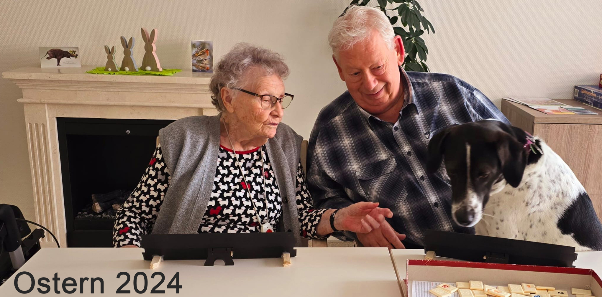hedwig.studio2010.de
